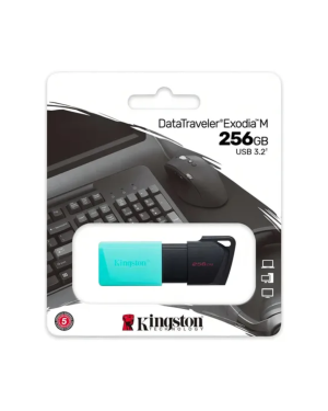 Pendrive Kingston 256GB